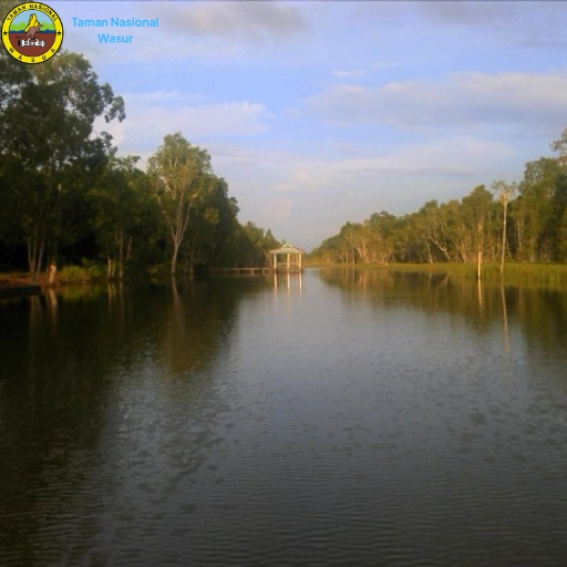 Taman Nasional Wasur