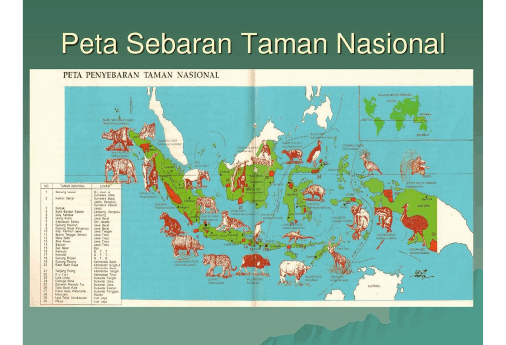 Taman Nasional Wasur